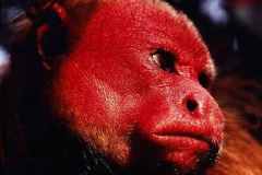 82232710-6849-4a44-be74-dd6780d18a56reduzida