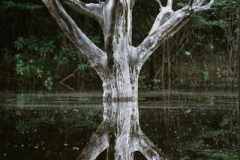 a5223501-51fb-4130-a51e-1835ce3b3a85reduzida