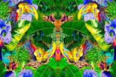 Tropical digital - Victor Dzenk