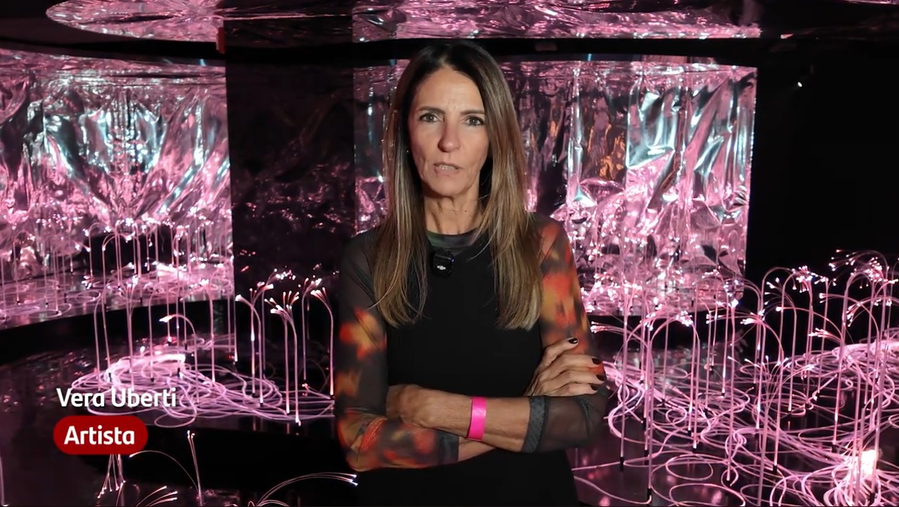Exposição Reflexos (in)versos — No País das Maravilhas. Depoimentos