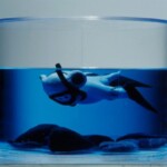 Cleber Machado Instalação diâmetro 23 cm - altura 17cm Cleber Machado Instalação diâmetro 23 cm - altura 17cm