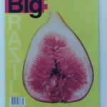 BX Big Magazine, Brasil Issue - Cliente Big Magazine (EUA) BX Big Magazine, Brasil Issue - Cliente Big Magazine (EUA)